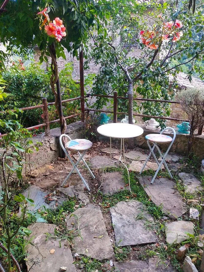 La Casetta Di Pierle Holiday home